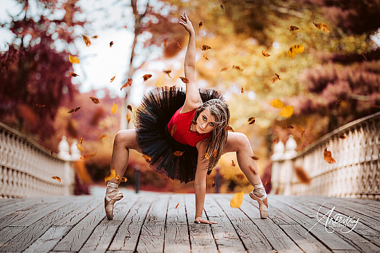 Dance